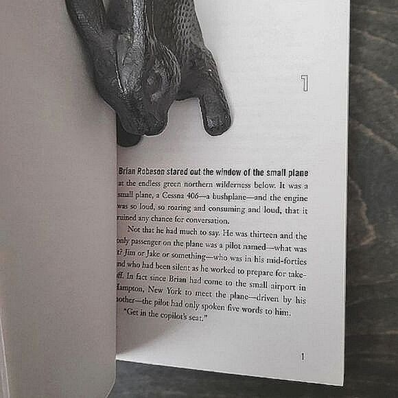 NWOT YA Book | Hatchet by Gary Paulsen - Picture 4 of 4